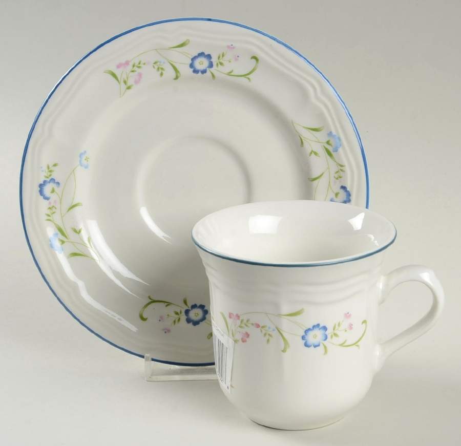 Shades Crest Flat Cup & Saucer Set by Citation-1