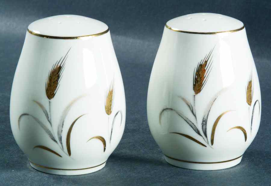 Eternal Harvest Salt & Pepper Set by Correct Table Serv-1
