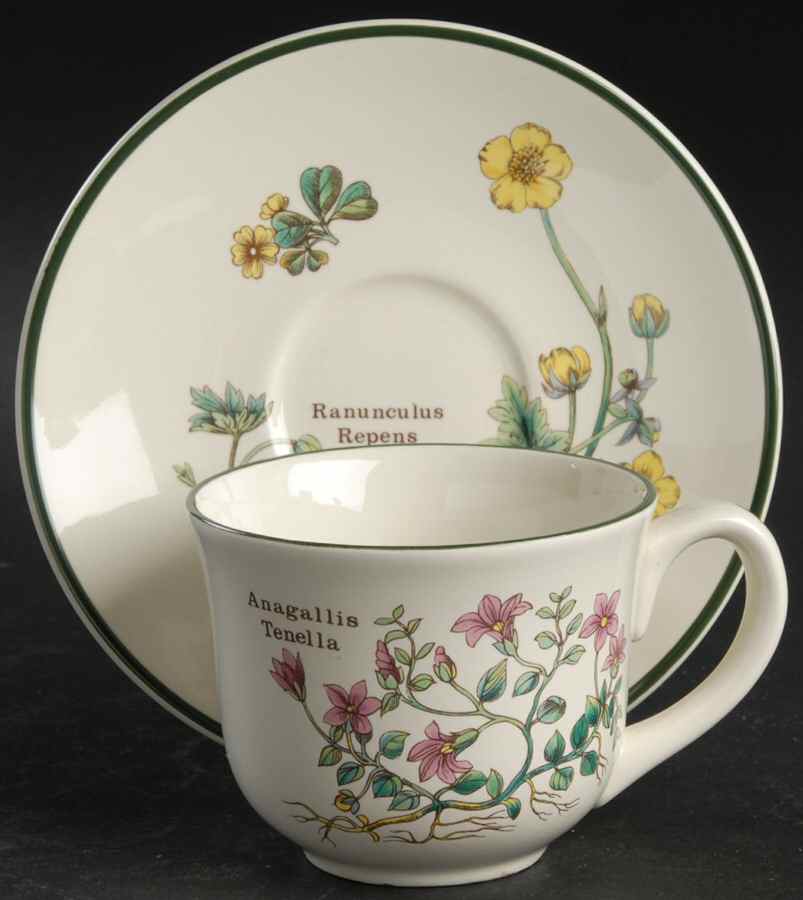 Florabunda (Smooth, Round) Flat Cup & Saucer Set by Cuthbertson-1
