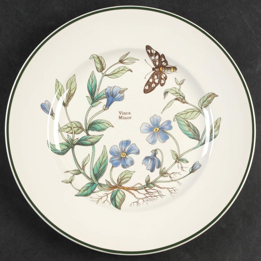 Florabunda (Smooth, Round) Dinner Plate by Cuthbertson-1