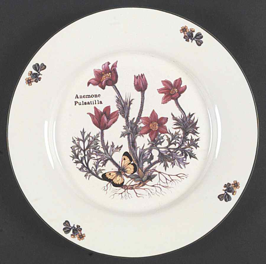 Florabunda (Smooth, Round) Dinner Plate by Cuthbertson-1