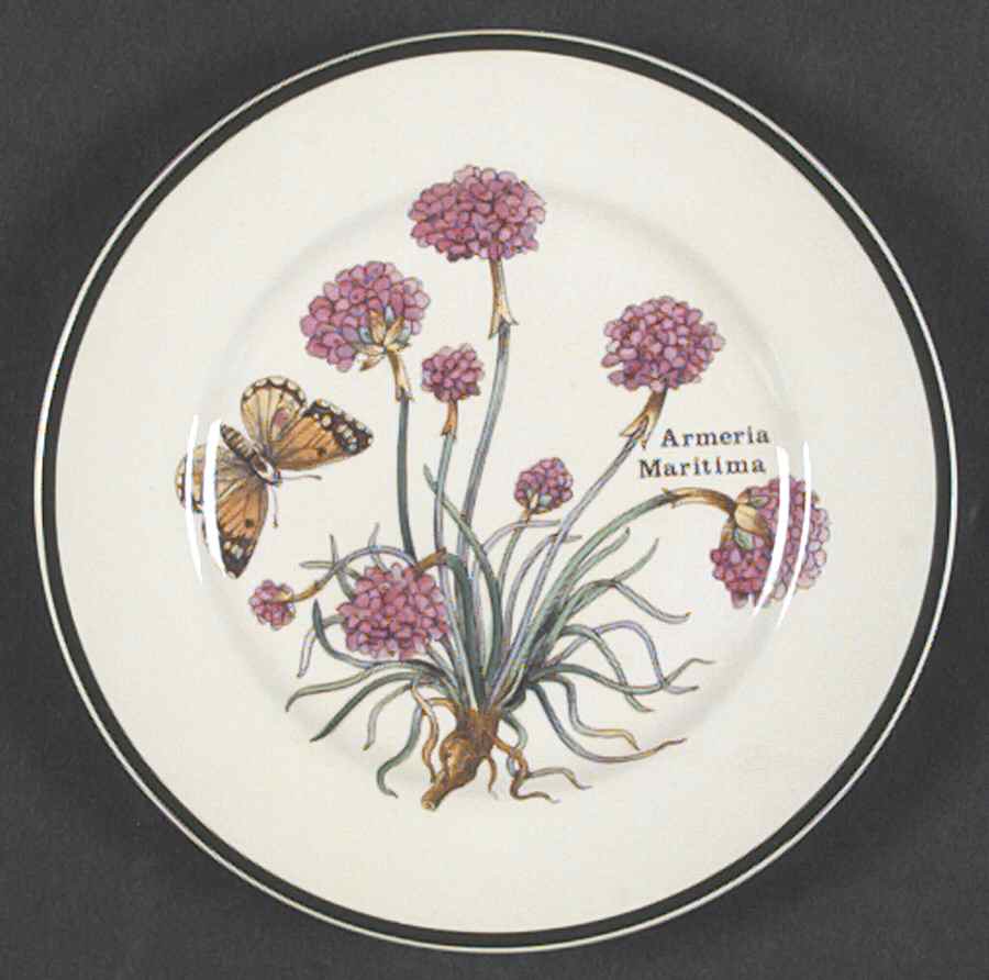 Florabunda (Smooth, Round) Bread & Butter Plate by Cuthbertson-1