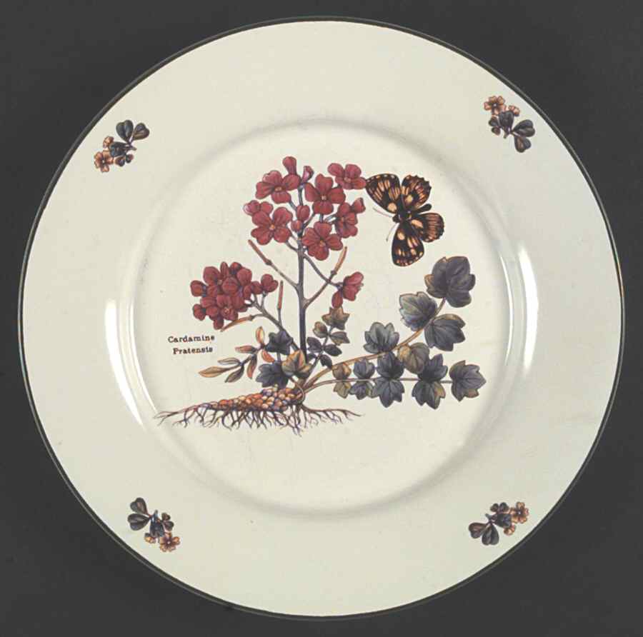Florabunda (Smooth, Round) Dinner Plate by Cuthbertson-1