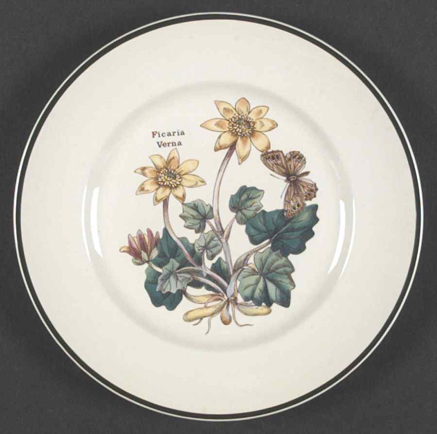 Florabunda (Smooth, Round) Salad Plate by Cuthbertson-1