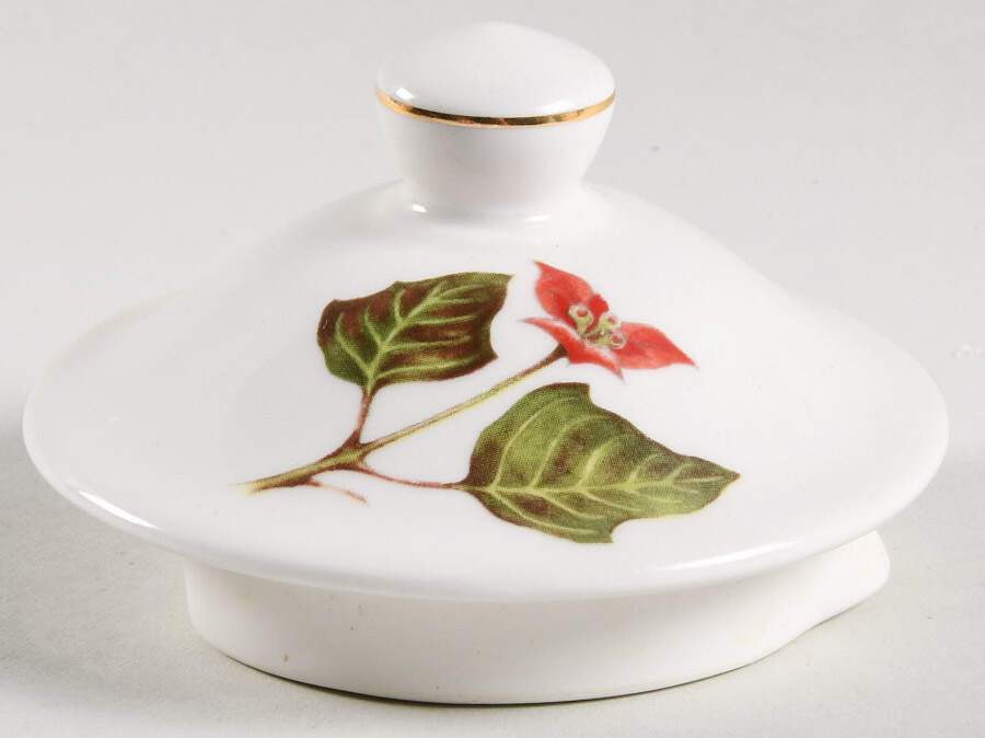 Poinsettia Lid for Teapot by Cuthbertson-1