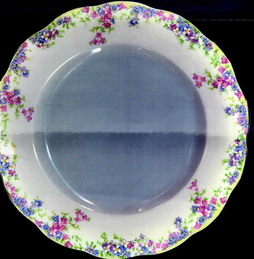 Maytime Dinner Plate by Crown China (England)-1