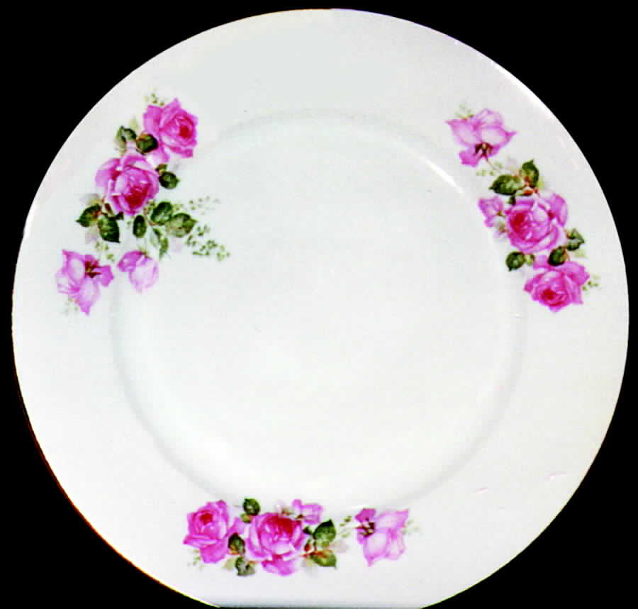 CZE27 Dinner Plate by Czechia-Czechoslovakia-1