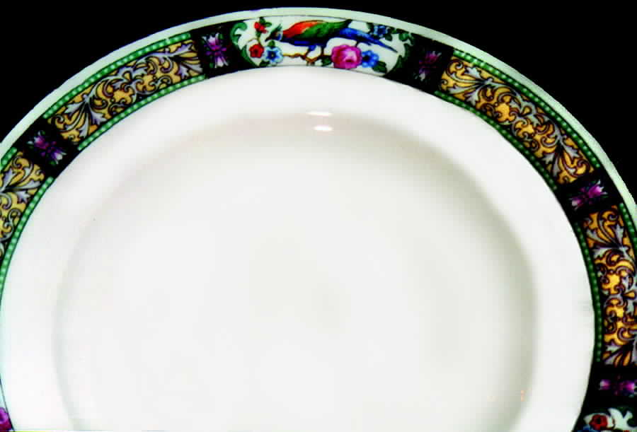 CZE30 Dinner Plate by Czechia-Czechoslovakia-1