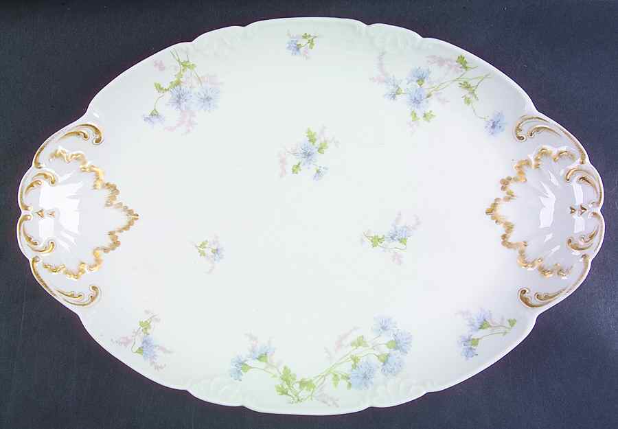Schleiger 378b 15" Oval Serving Platter by Charles Field Haviland-1