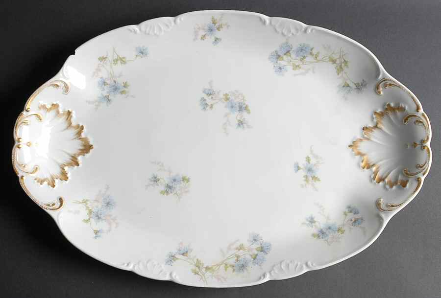 Schleiger 378b 20" Oval Serving Platter by Charles Field Haviland-1