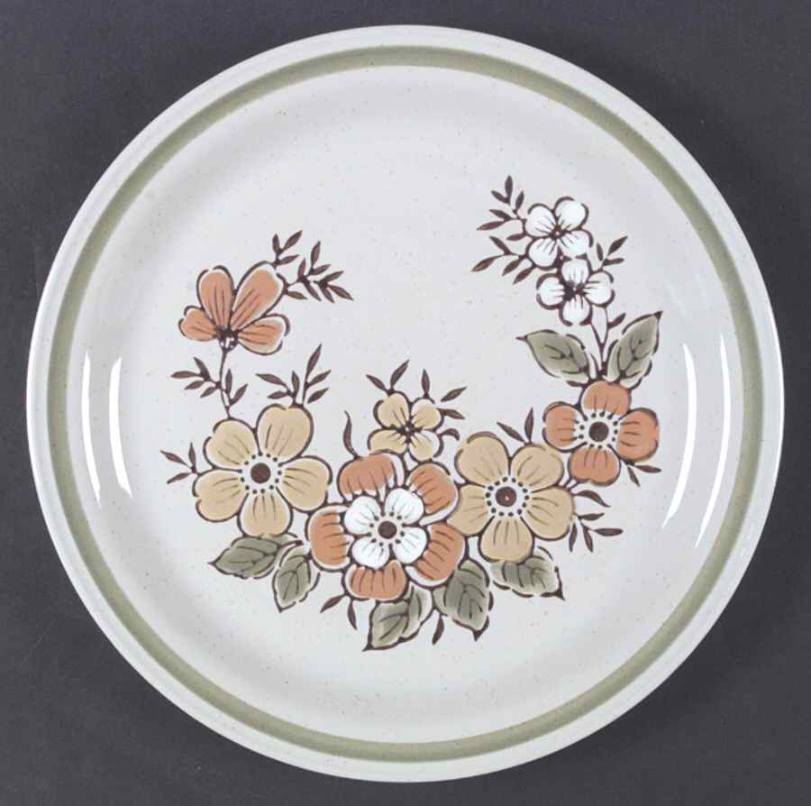 Spring Garden Dinner Plate by Country Casual-1