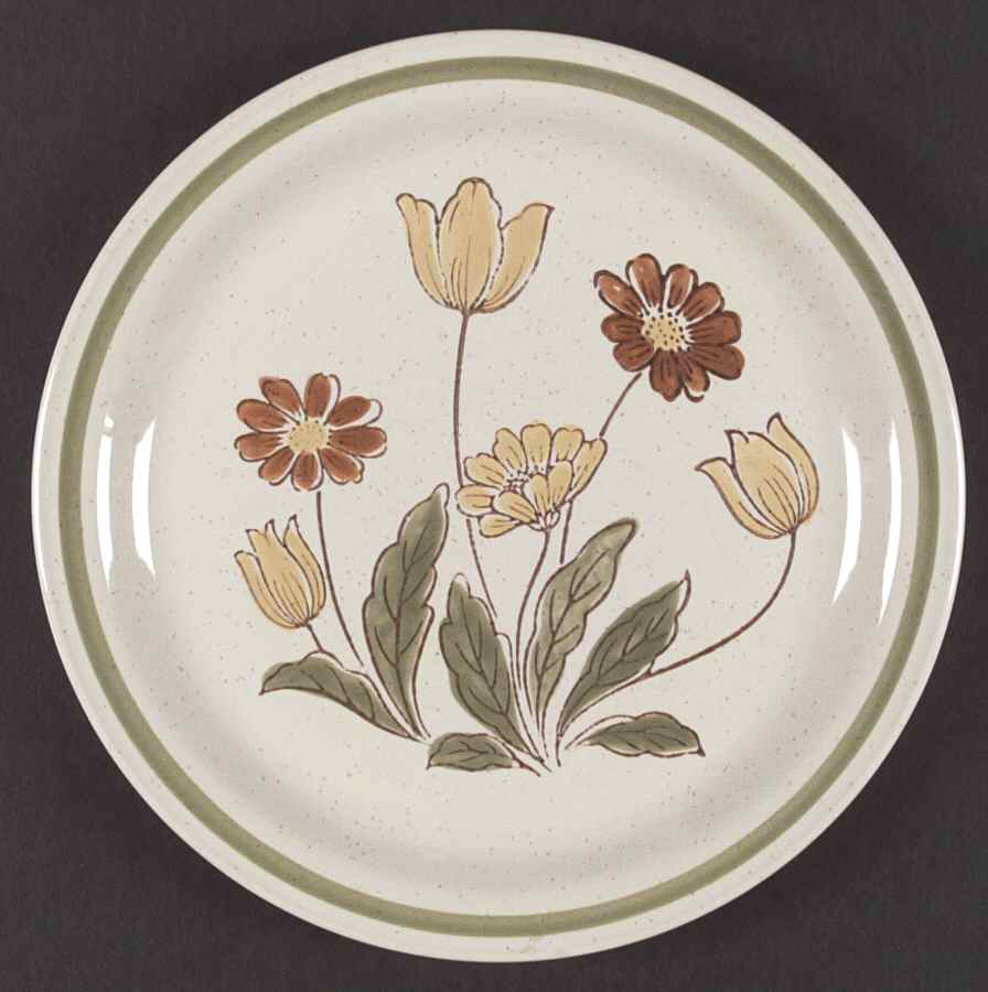 Sunnyvale Dinner Plate by Country Casual-1