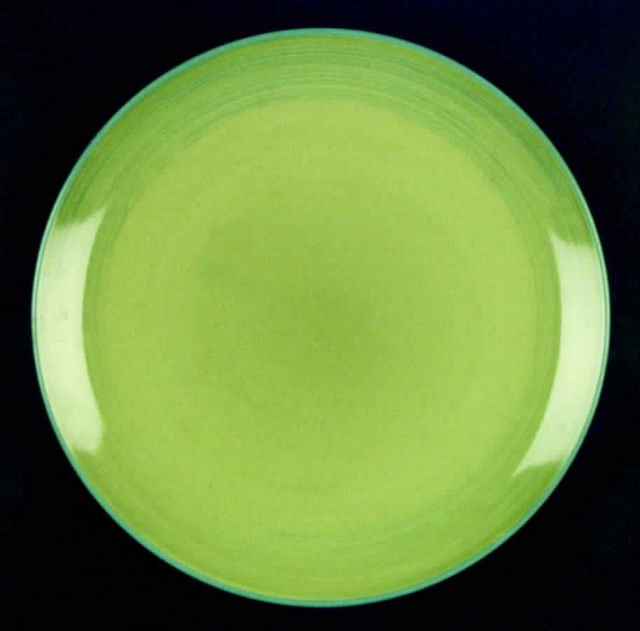 Verde Dinner Plate by Colortone-Japan-1