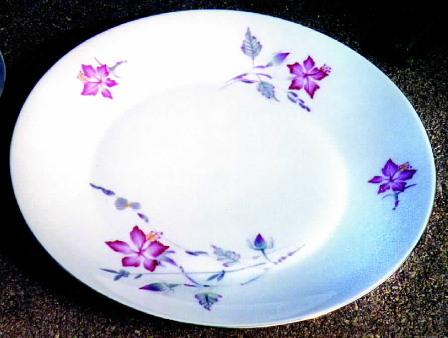 Felice Dinner Plate by Chodziez-Poland-1