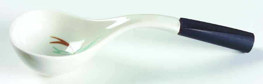 Antibe Gravy Ladle with Wood Handle by Caribe-1