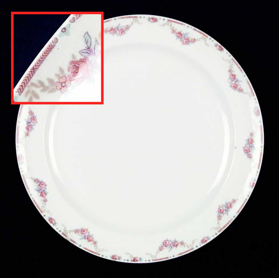 CAN66 Luncheon Plate by Canonsburg-1