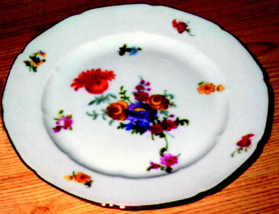 CZE34 Dinner Plate by Czechia-Czechoslovakia-1