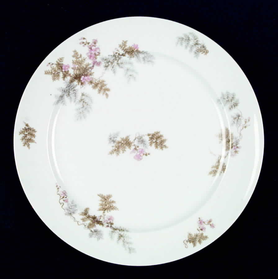 Head 86-4 Dinner Plate by Charles Field Haviland-1