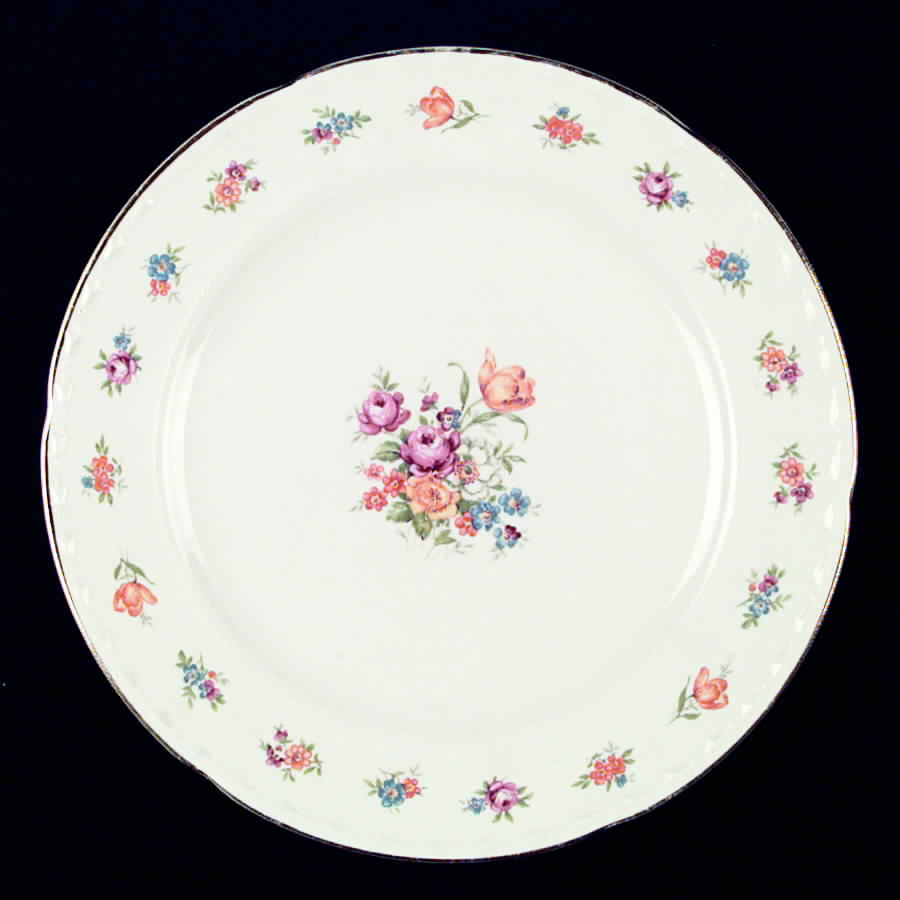 CRO106 Dinner Plate by Crooksville-1