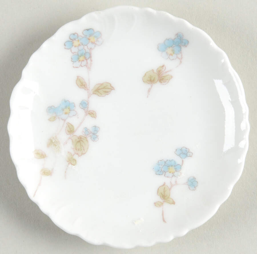 Schleiger 1300 Butter Pat by Charles Field Haviland-1