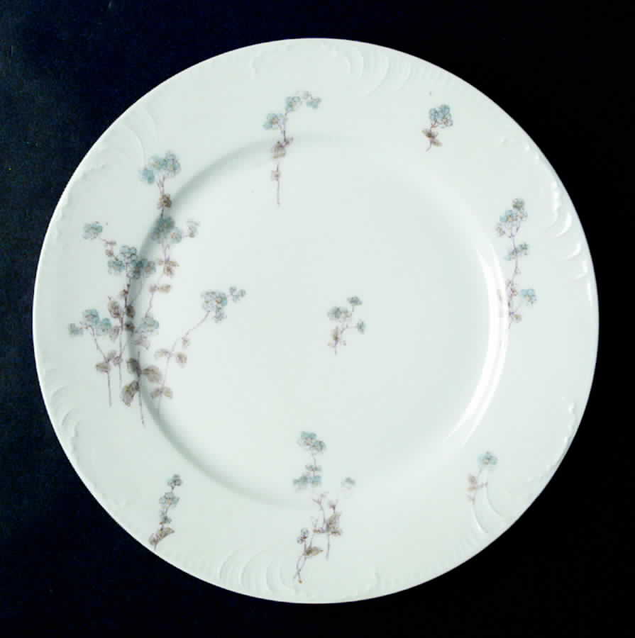 Schleiger 1300 Salad Plate by Charles Field Haviland-1