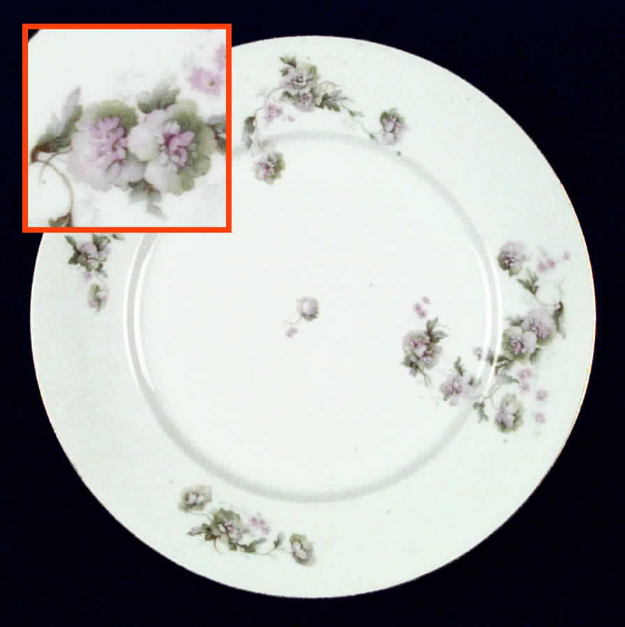 CTI27 Dinner Plate by Carl Tielsch-1