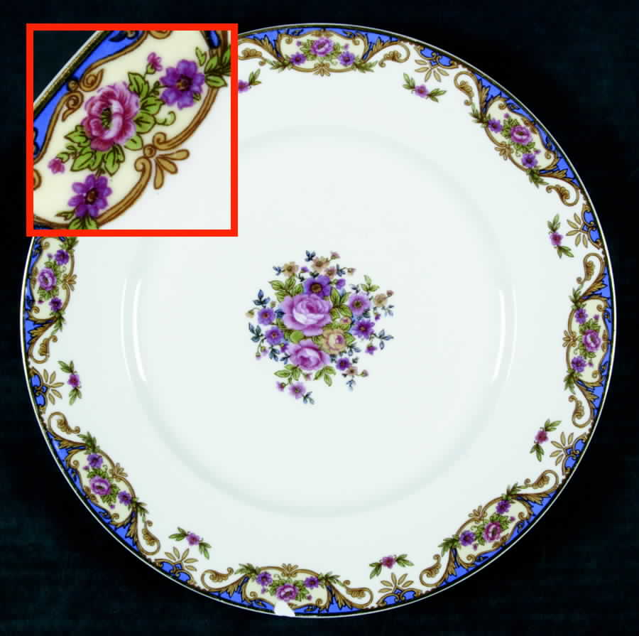 CHF328 Dinner Plate by Charles Field Haviland-1