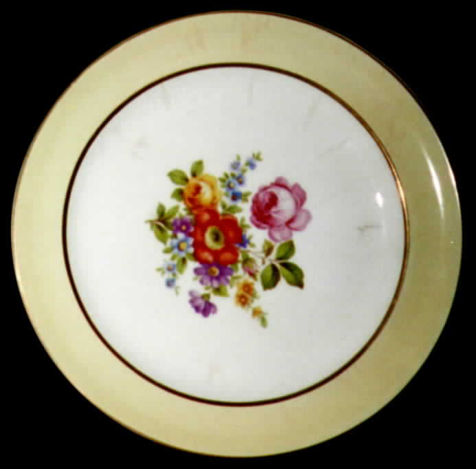 2739 Dinner Plate by Canonsburg-1