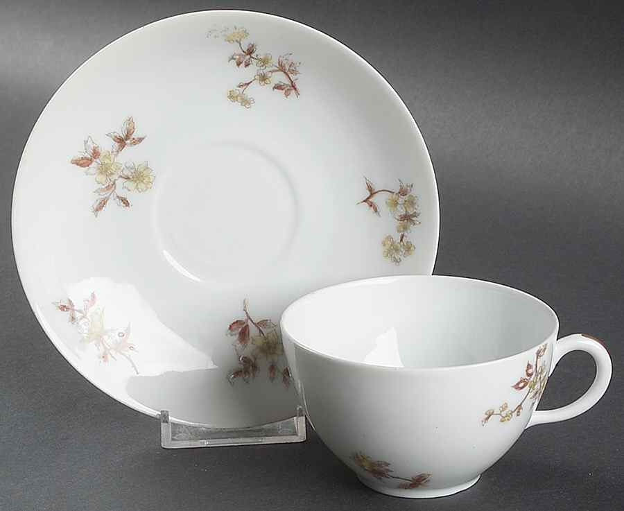 CHF332 Flat Cup & Saucer Set by Charles Field Haviland-1