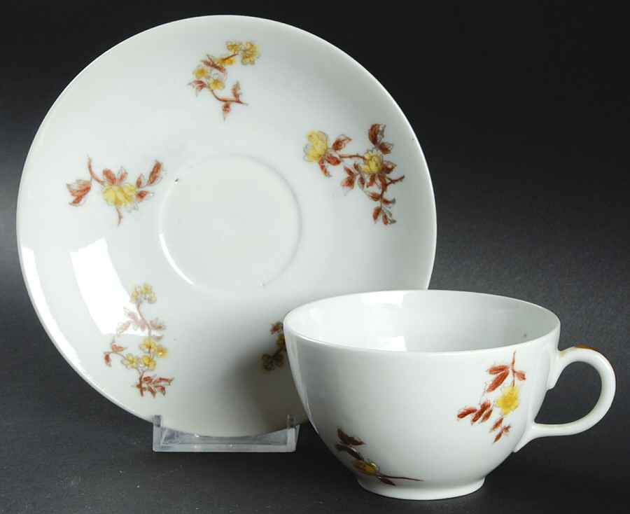 CHF332 Flat Cup & Saucer Set by Charles Field Haviland-1