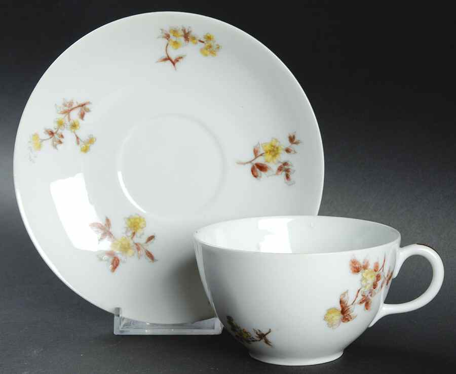 CHF332 Flat Cup & Saucer Set by Charles Field Haviland-1