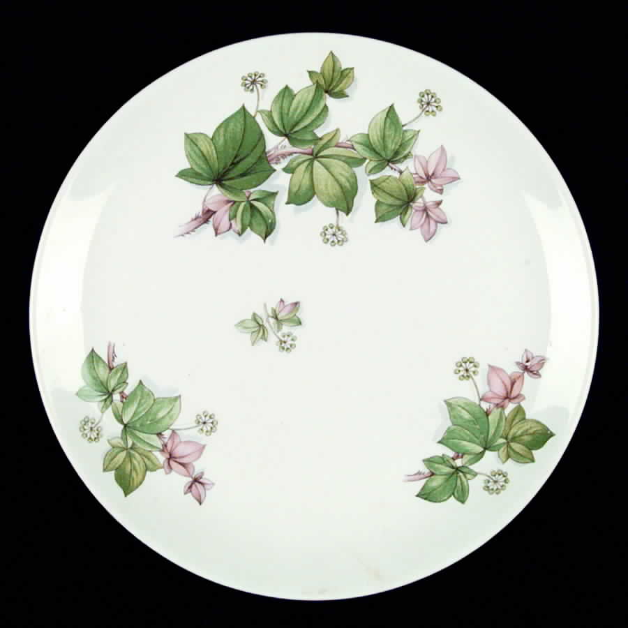 CAN73 Dinner Plate by Canonsburg-1