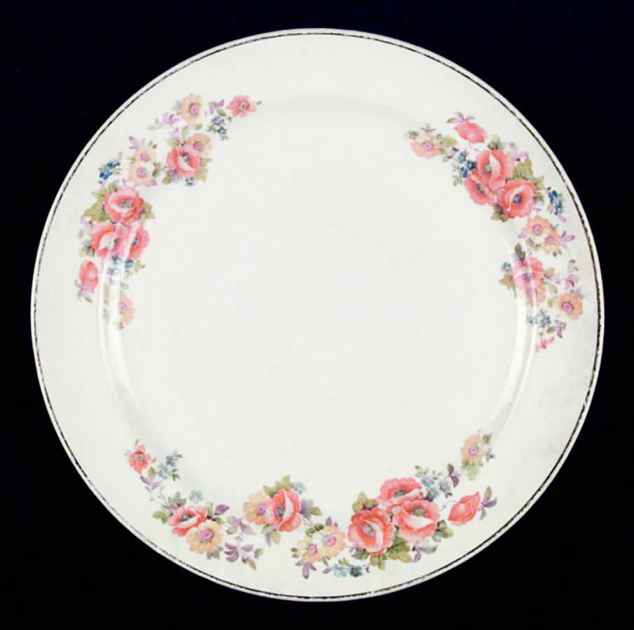 COI28 Dinner Plate by Cronin-1