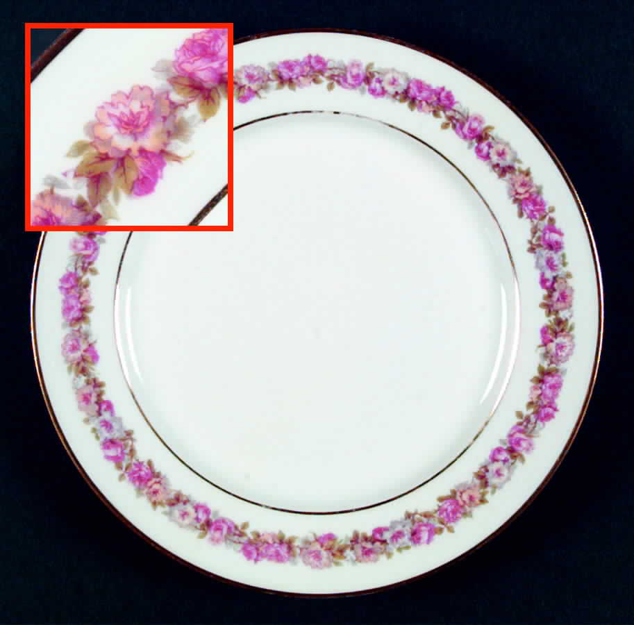 Schleiger 198 Dinner Plate by Charles Field Haviland-1