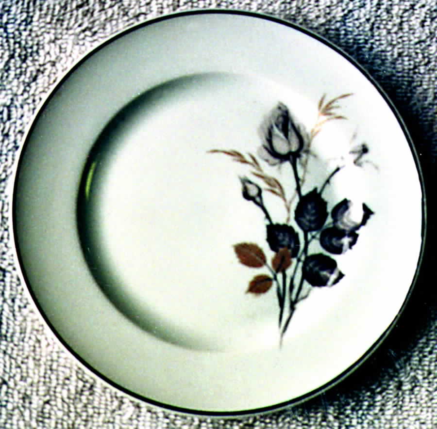 Mystic Rose Dinner Plate by Coreling-1