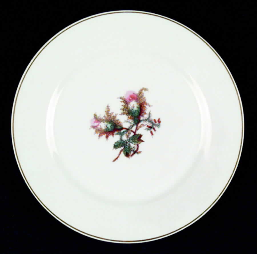 CHF335 Salad Plate by Charles Field Haviland-1