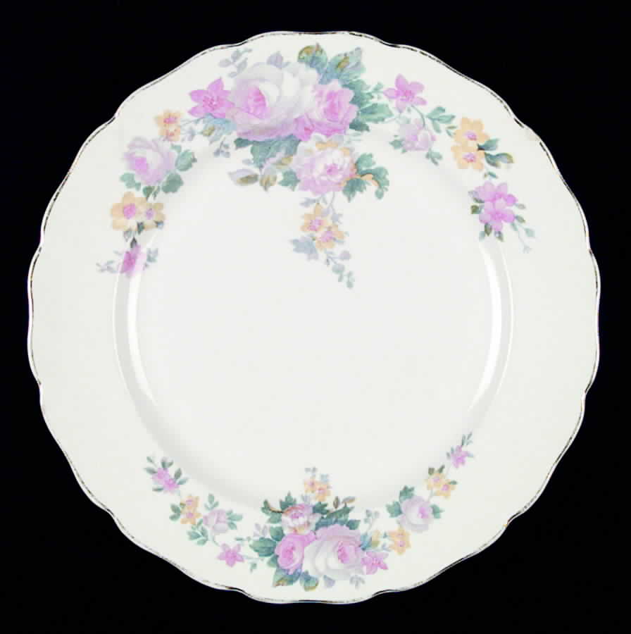 CAN77 Dinner Plate by Canonsburg-1
