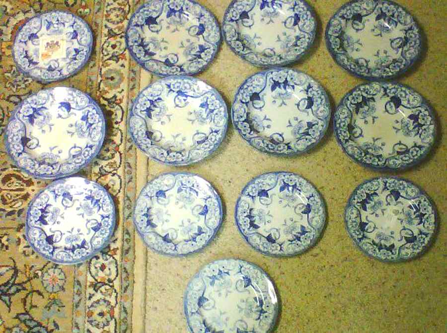 Flora Dinner Plate by Creil & Montereau-1