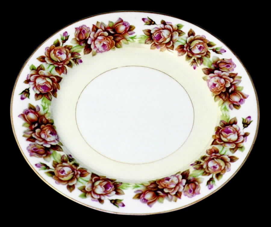 CRF7 Dinner Plate by Craftsman (Japan)-1