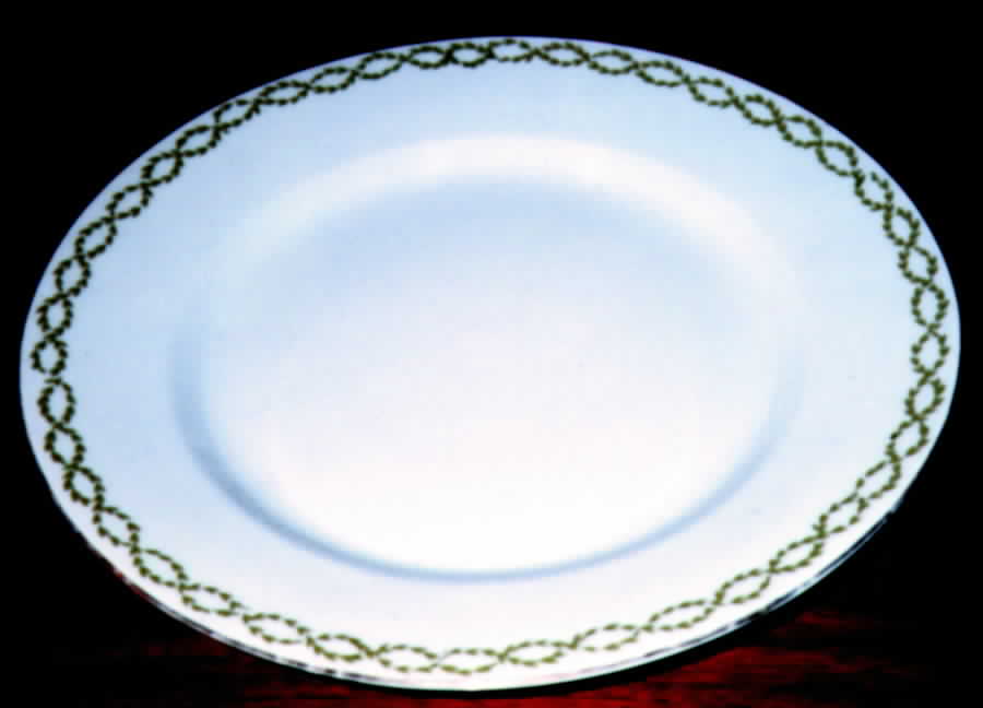 2036 Dinner Plate by Carlsbad-1