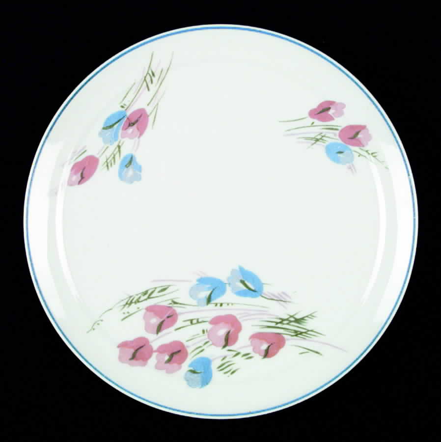 COB10 Dinner Plate by BIA Cordon Bleu-1