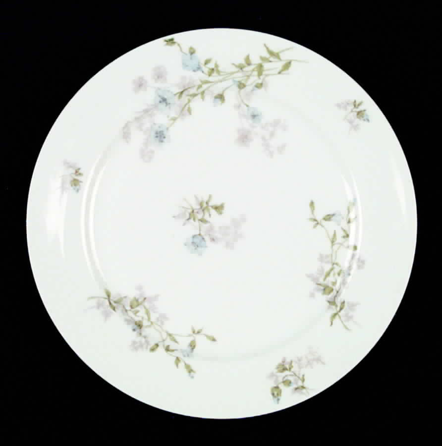 CHF345 Salad Plate by Charles Field Haviland-1