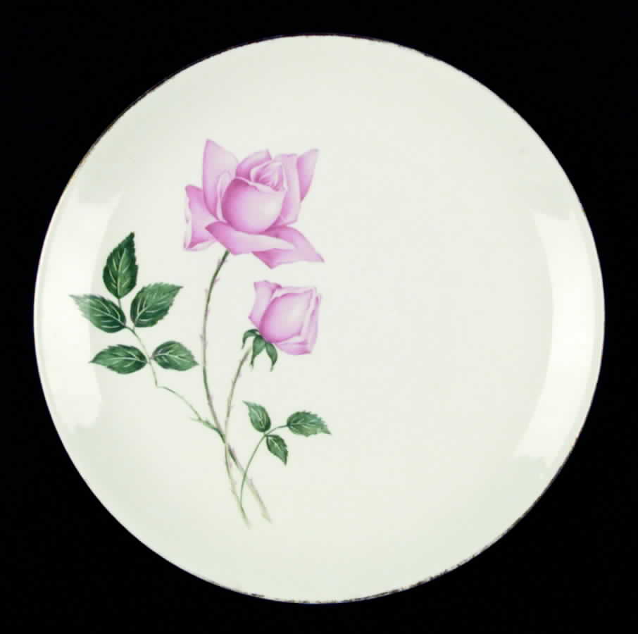 CAN78 Dinner Plate by Canonsburg-1