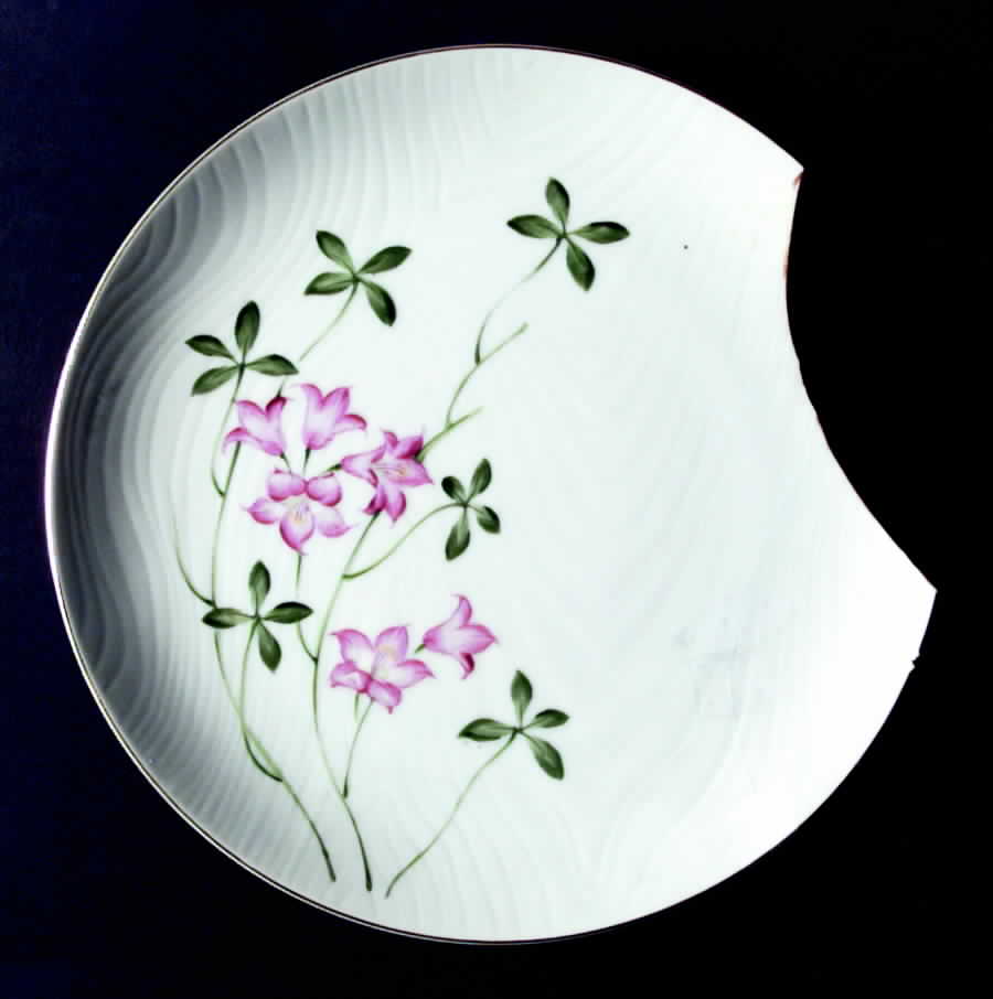 COW6 Dinner Plate by Crown China (Japan)-1