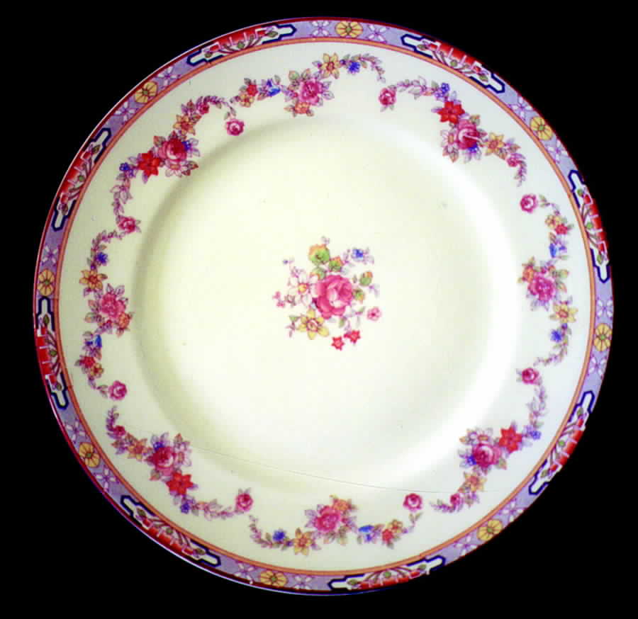 CRO115 Dinner Plate by Crooksville-1
