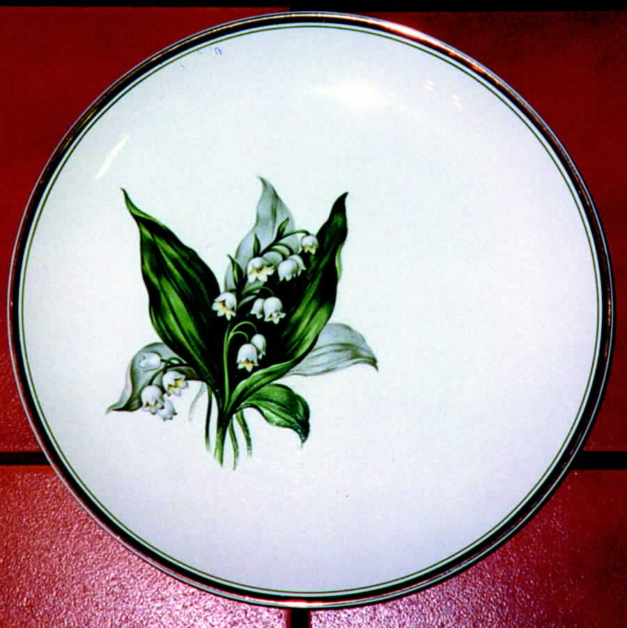 CRP44 Dinner Plate by Crown Potteries-1