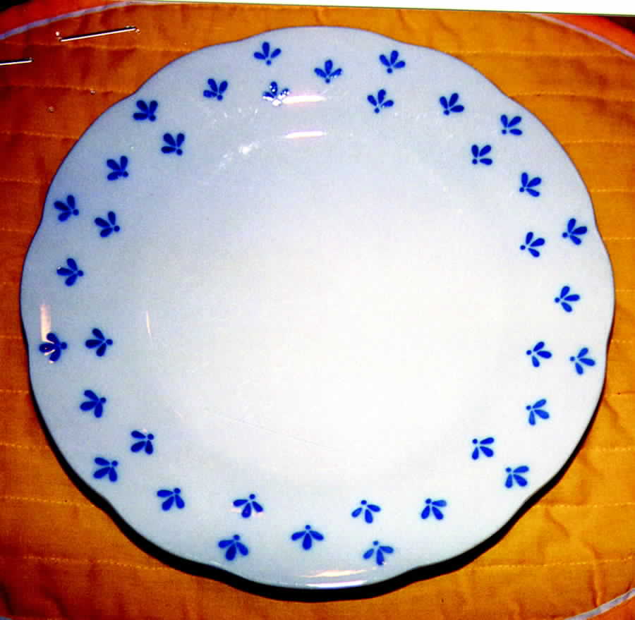 COB11 Dinner Plate by BIA Cordon Bleu-1
