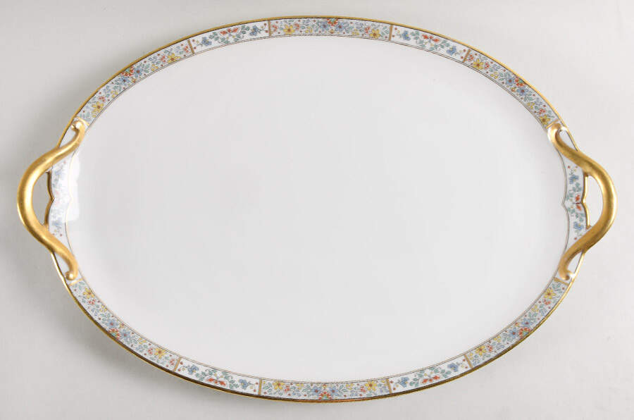 Schleiger 1356 17" Oval Serving Platter by Charles Field Haviland-1