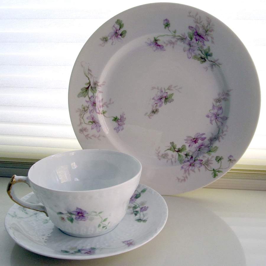 CHF369 Footed Cup & Saucer Set by Charles Field Haviland-1