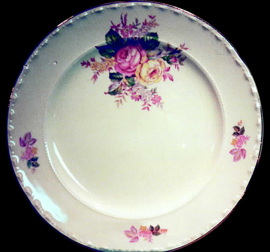 CRO119 Dinner Plate by Crooksville-1
